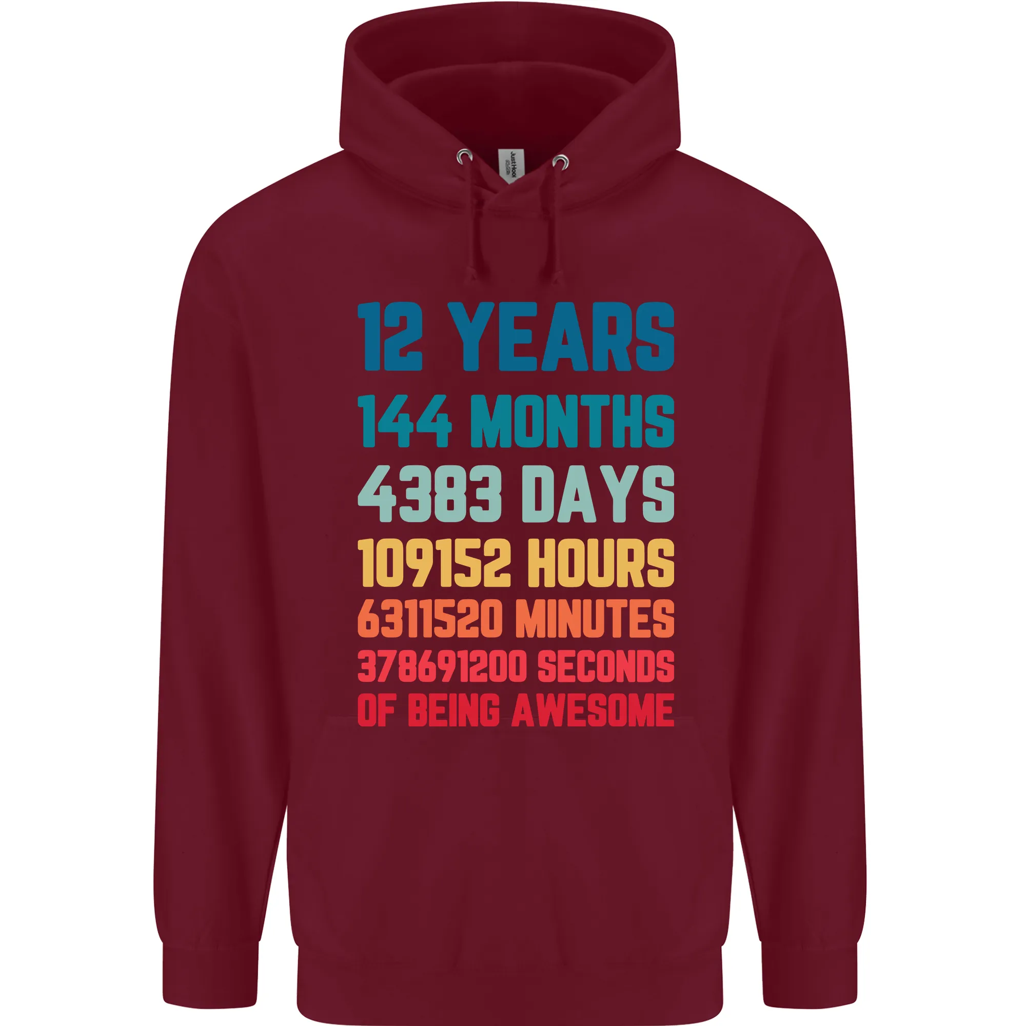 12th Birthday 12 Year Old Childrens Kids Hoodie