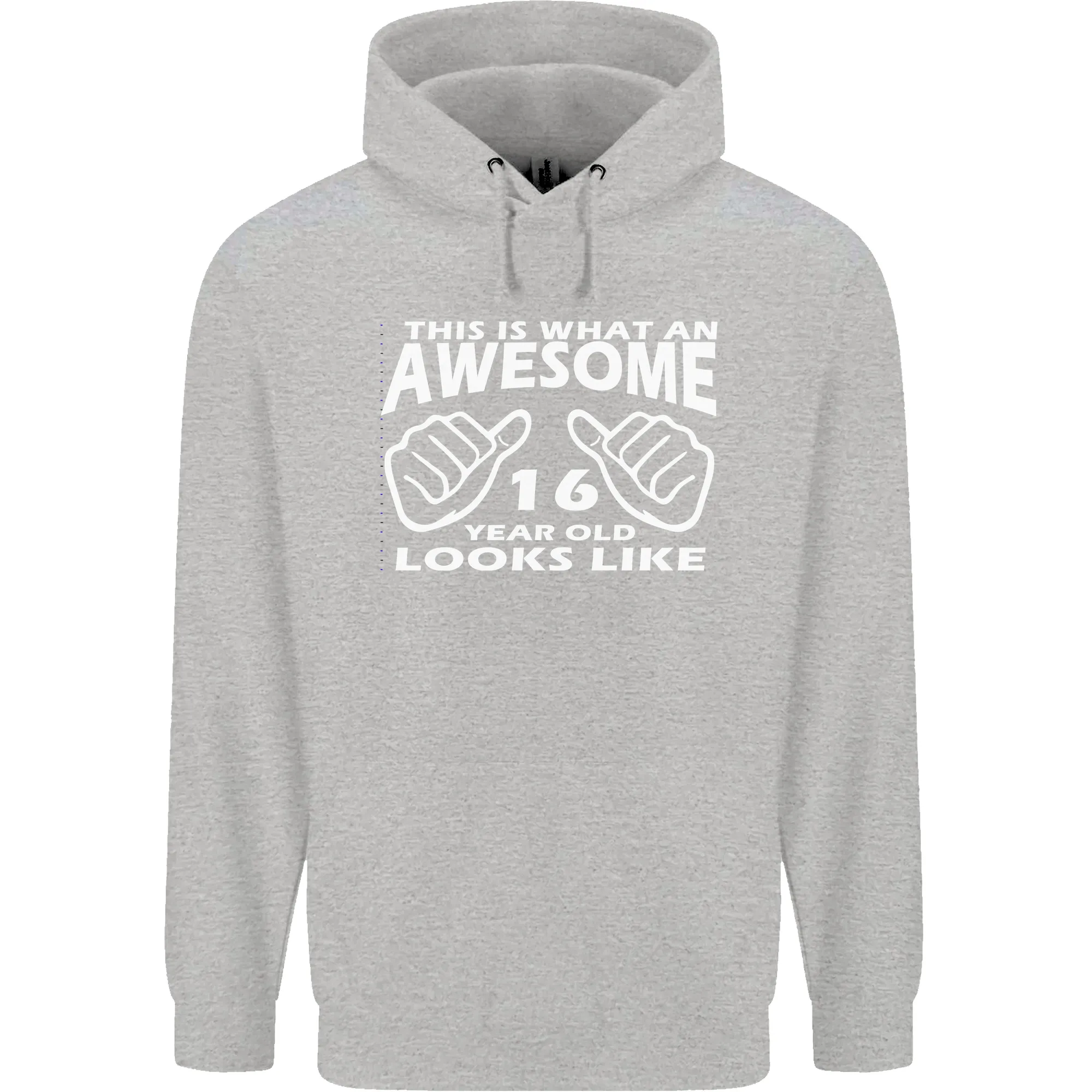 16th Birthday 16 Year Old This Is What Mens 80% Cotton Hoodie