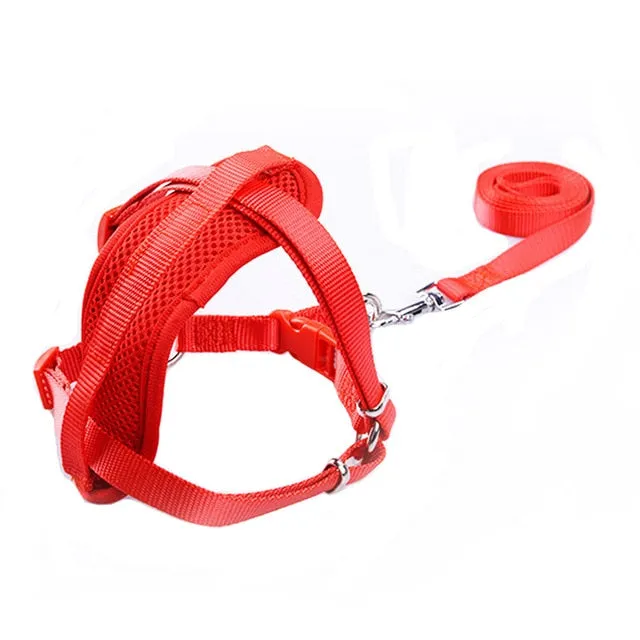 Comfort Harness Vest